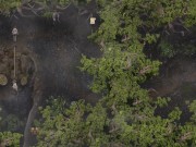 LUST EPIDEMIC - PART 34 - MILF HAREM 7/16