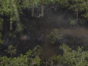 LUST EPIDEMIC - PART 34 - MILF HAREM 8/16