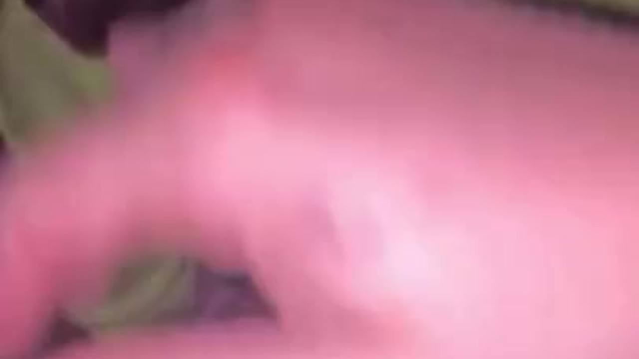 Sucer son beau-frère pendant que sa femme n’est pas au travail  - Vidéo de sexe gratuite - RedTube