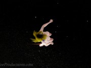 MMD R18 4k blue bikini Aylin - Red Flavor 1044 11/16