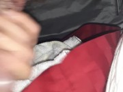 Doggystye pillow