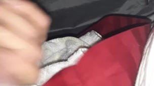 Doggystye pillow