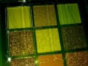 Jasmyne Eyeshadow Palette - Neon | (B) 15/16