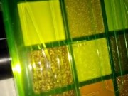 Jasmyne Eyeshadow Palette - Neon | (B) 6/16