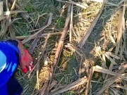 New indian desi village MMS outdoor sex Hindi audio 16/16