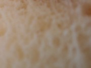 Eating YOU In A Sandwhich 7/16