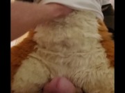 Attacked by a Wild Yet Curious Being?? 12/16