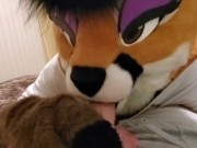 Attacked by a Wild Yet Curious Being?? 2/16