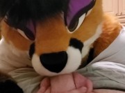 Attacked by a Wild Yet Curious Being?? 3/16