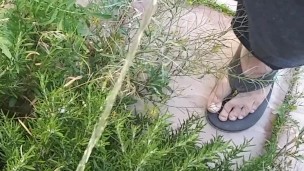 Norwegian Daddy Taking A Long Fat Dick Piss In A Outside Bush In Sandals