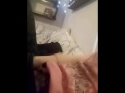 Petting a kitty