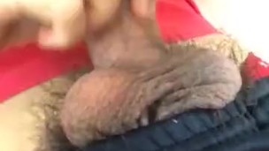 Sexy Cock & Balls View of Hard Cock