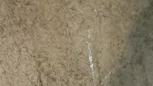 Having some piss fun