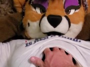 she likes to be pet 8/16