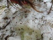 Hiking And Pissing Makes My Pussy Creamy 7/16