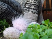 A Faery Pisses In The Garden 3/16