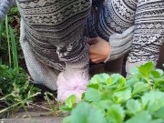 A Faery Pisses In The Garden 5/16