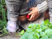 A Faery Pisses In The Garden 6/16