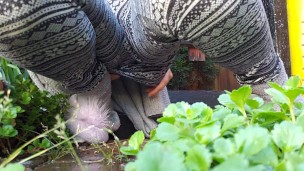 A Faery Pisses In The Garden