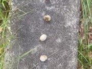 Mushroom stomp with me ;) you’re the mushroom baby