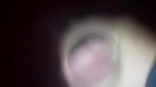 Paja nocturna