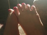 Pretty Legs in the Sunlight 10/16