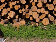 Woman in the Woods takes a foxtail butt plug in her ass, public outdoor 4/16