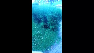 doris public outside walking part 2