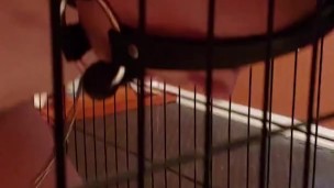 Slave restrained in stress position for two hours and fucked
