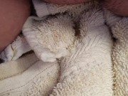 Morning piss on a towel. Needed to go bad!