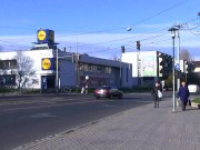 Lola Taylor AMWF 1 1/16