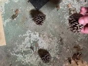 Perfect pine cones - Screenshot 1 of 16 - Bbw Milf