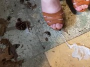 Perfect pine cones