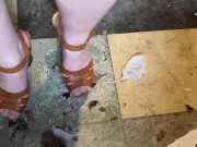 Perfect pine cones - Screenshot 14 of 16 - Crush Heels