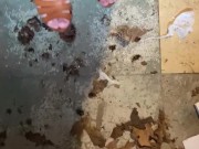 Perfect pine cones - Screenshot 15 of 16 - Powerful Woman
