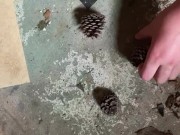 Perfect pine cones - Screenshot 2 of 16 - Bbw Crush Fetish