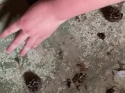 Perfect pine cones - Screenshot 3 of 16 - Crush Fetish