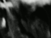 Lund ko chusvaya (Hindi audio)