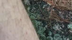 Wack in the Woods
