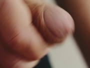 White cock close up 4K 13/16