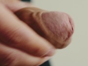 White cock close up 4K 5/16