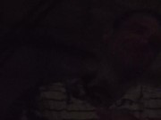 Lastly, a couple of songs. 6/16