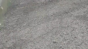 Detroit man pissing in the streets