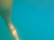 Underwater PUSSY PLAY at Public Beach # FUN from Risky Public Exhibitionism 7/16