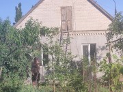 Since there was no rain, I water the garden. 7/16