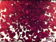 Twee pornosterren hebben hardcore seks in bos 1/16