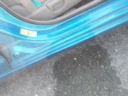 Having A Piss On The Side Of The Road 16/16