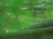 Does Liberty Love  piss in the woods?