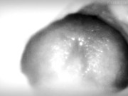  Creampie, but the camera is in the pussy.