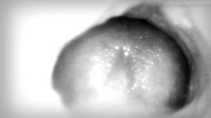  Creampie, but the camera is in the pussy.